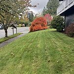 Image of Review by John on 31 Oct 2024 number 1