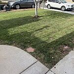 Image of Review by Darin on 31 Oct 2024 number 1