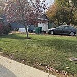 Image of Review by Darin on 31 Oct 2024 number 2