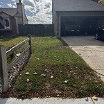 Image of Review by Darin on 31 Oct 2024 number 3