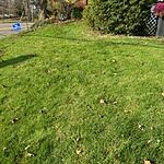 Image of Review by Bonnie on 1 Nov 2024 number 1