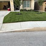 Image of Review by Joseph on 4 Nov 2024 number 1