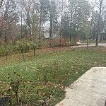 Image of Review by Nickole on 4 Nov 2024 number 1