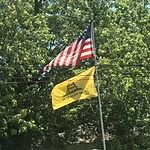 Image of Review by Daniel O. on 7 Aug 2018 number 1