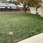 Image of Review by Kyle on 5 Nov 2024 number 1
