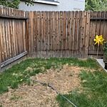 Image of Review by Annalisa on 5 Nov 2024 number 1