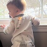 Image of Review by Donna M. on 13 Jan 2025 number 1