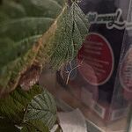 Image of Review by Sarah W. on 24 Jan 2025 number 1