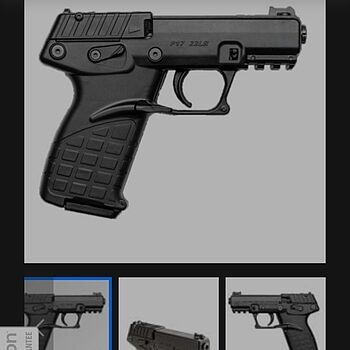 KelTec P17 .22lr Pistol, Blk - P17BLK They changed the price during the sale