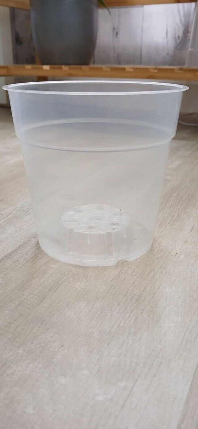 Clear Orchid Pot Bundle (Mixed Sizes) Good Quality
