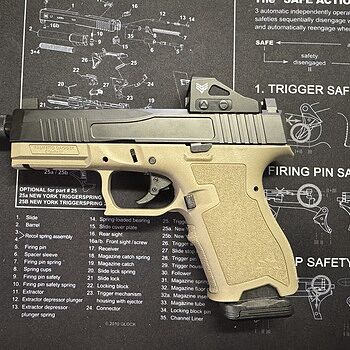 PSA Dagger Compact Complete Polymer Frame, Flat Dark Earth Don’t cry about it!