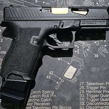 PSA Dagger Compact Complete Polymer Frame, Black I paired the compact frame