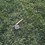 Image of Review by Philip G. on 19 Apr 2025 number 1