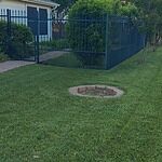 Image of Review by DOUGLAS on 23 Apr 2025 number 2