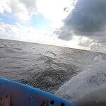 Image of Review by Jackson T. on 30 Oct 2018 number 1