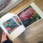 Image of Review by anatronen1971 g. on 4 Aug 2025 number 3
