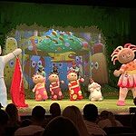 Image of Review by Lisa S. on 26 Aug 2025 number 2