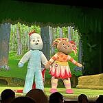 Image of Review by Lisa S. on 26 Aug 2025 number 3
