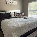 Image of Review by Ayka on 14 Sep 2025 number 2