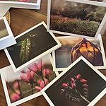 Image of Review by Kimi M. on 14 Oct 2025 number 2