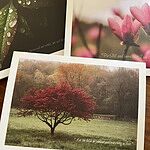 Image of Review by Kimi M. on 14 Oct 2025 number 1