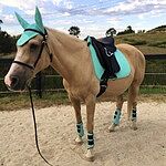 Image of Review by Jessica T. on 15 Jan 2019 number 1
