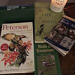 Image of Review by Lauren S. on 2 Feb 2019 number 1