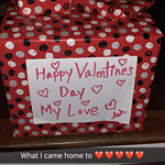 Image of Review by Ashley B. on 15 Feb 2019 number 1