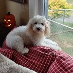 Image of Review by Shirley B. on 10 Mar 2019 number 1