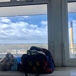 Image of Review by Jenny H. on 14 Mar 2019 number 1