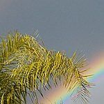 Image of Review by Austin W. on 1 Apr 2019 number 2