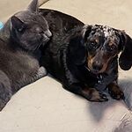 Image of Review by Cindy F. on 11 Apr 2019 number 1