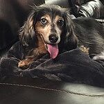 Image of Review by Katherine N. on 12 May 2019 number 1