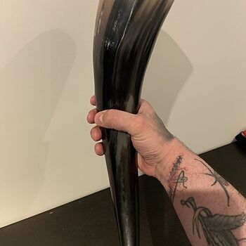 Drinking Horn, XL Amazing!