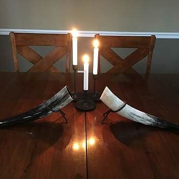 Drinking Horn, Large Beautifully crafted drinking horns