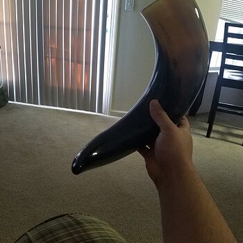 Drinking Horn, XL XL size and quality