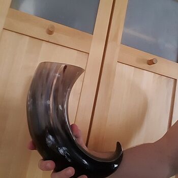 Drinking Horn, XL Glorious