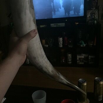 Drinking Horn, XL Great purchase!
