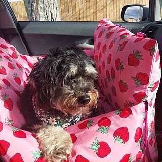 Deluxe Travel Car Bed: Strawberries