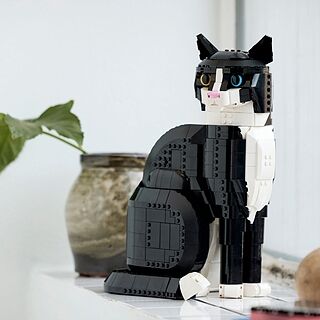 LEGO® Ideas Tuxedo Cat