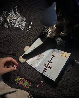 LEGO® Cherry Blossoms
