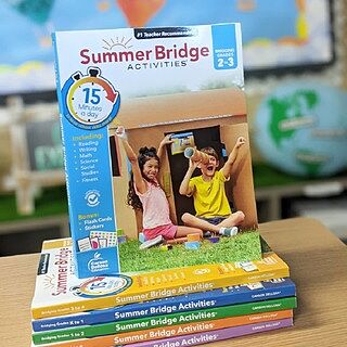 Old Summer Bridge Activities Workbook Grade PK-K Paperback