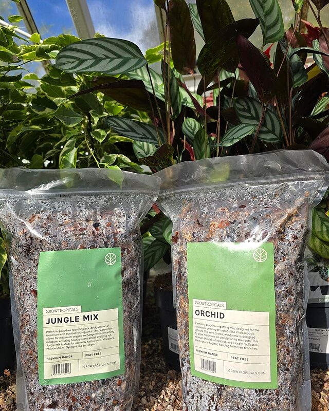 Jungle Mix - Premium Houseplant Potting Mix