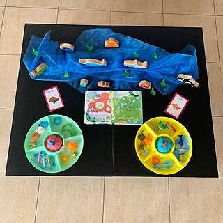 First Words Flash Cards Grade PK-1