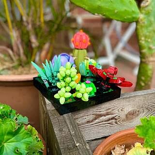 LEGO® Succulents