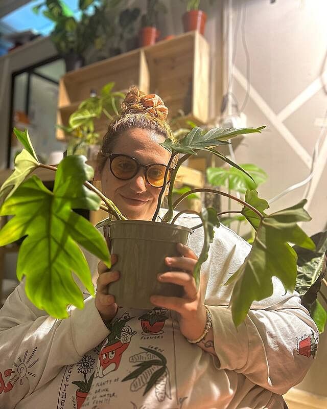 Philodendron Mayoi