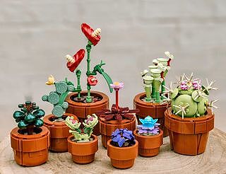 LEGO® ICONS™ Tiny Plants