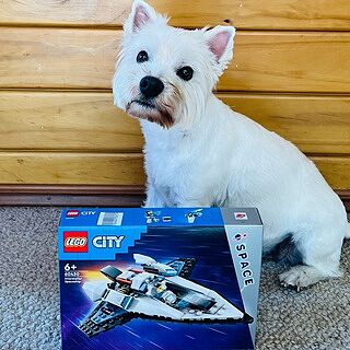 LEGO® City Interstellar Spaceship