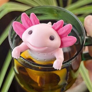 RELAXOLOTL