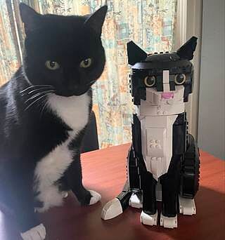 LEGO® Ideas Tuxedo Cat